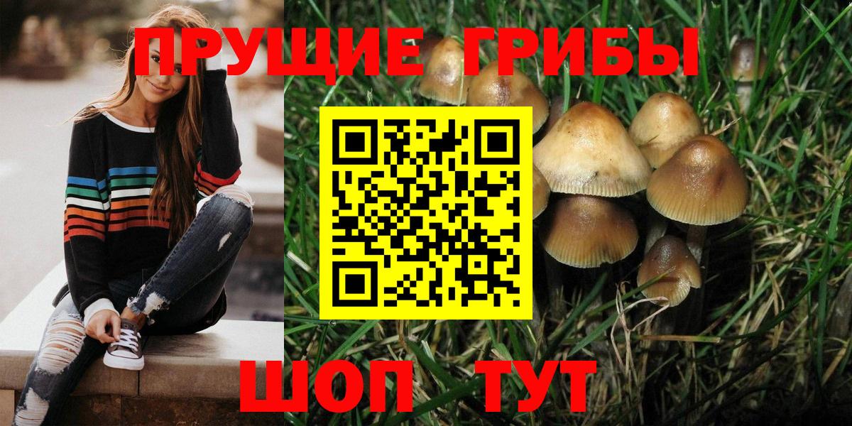Галлюциногенные грибы GOLDEN TEACHER Батайск