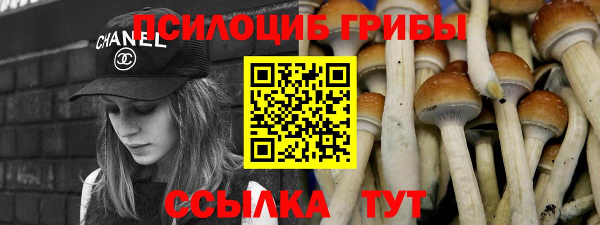 Батайск  Галлюциногенные грибы Cubensis  Вход с VPN 